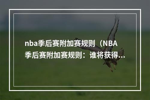 nba季后赛附加赛规则（NBA季后赛附加赛规则：谁将获得季后赛资格？）