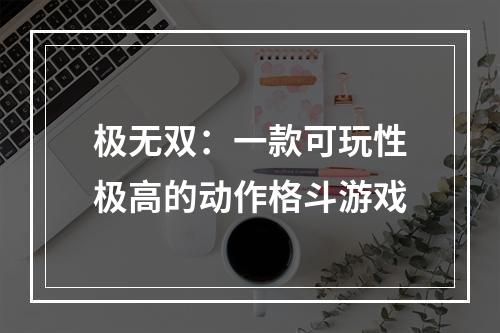 极无双：一款可玩性极高的动作格斗游戏