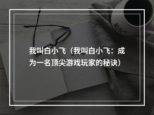 我叫白小飞（我叫白小飞：成为一名顶尖游戏玩家的秘诀）