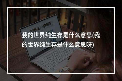 我的世界纯生存是什么意思(我的世界纯生存是什么意思呀)