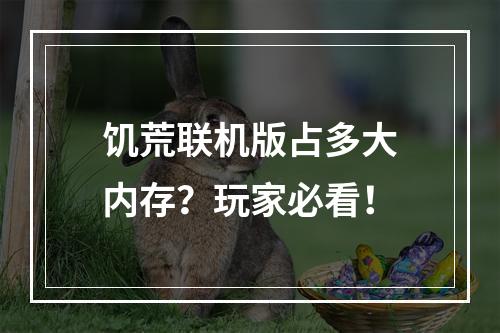 饥荒联机版占多大内存？玩家必看！