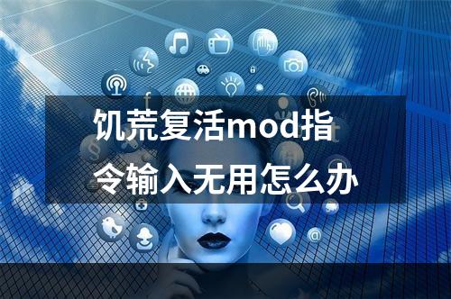 饥荒复活mod指令输入无用怎么办