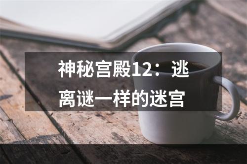 神秘宫殿12：逃离谜一样的迷宫