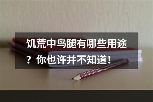 饥荒中鸟腿有哪些用途？你也许并不知道！