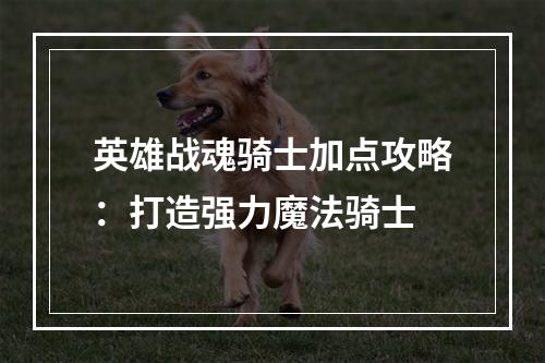 英雄战魂骑士加点攻略：打造强力魔法骑士