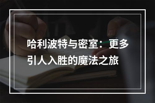 哈利波特与密室：更多引人入胜的魔法之旅