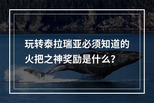 玩转泰拉瑞亚必须知道的火把之神奖励是什么？