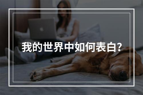 我的世界中如何表白？