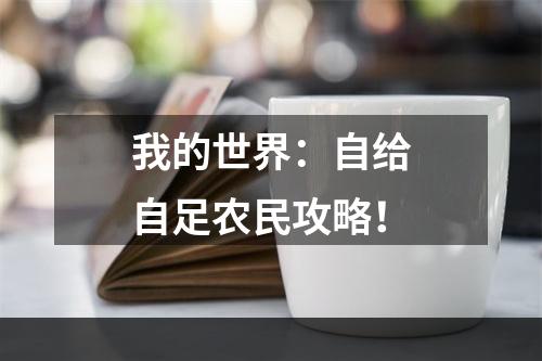 我的世界：自给自足农民攻略！