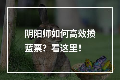 阴阳师如何高效攒蓝票？看这里！