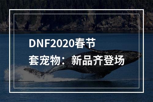 DNF2020春节套宠物：新品齐登场