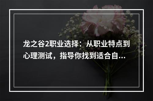 龙之谷2职业选择：从职业特点到心理测试，指导你找到适合自己的职业道路