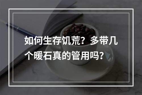 如何生存饥荒？多带几个暖石真的管用吗？