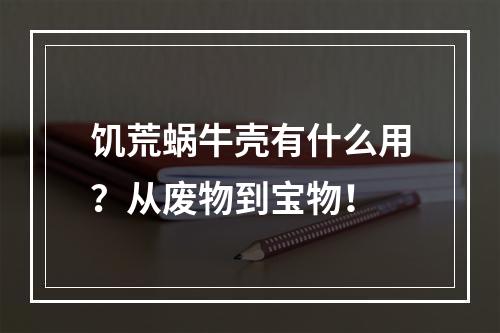 饥荒蜗牛壳有什么用？从废物到宝物！