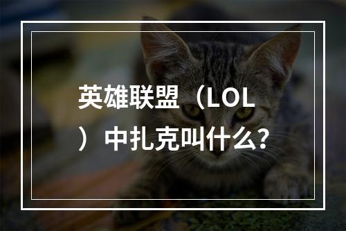 英雄联盟（LOL）中扎克叫什么？