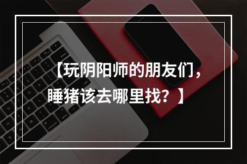 【玩阴阳师的朋友们，睡猪该去哪里找？】