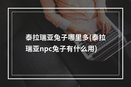 泰拉瑞亚兔子哪里多(泰拉瑞亚npc兔子有什么用)