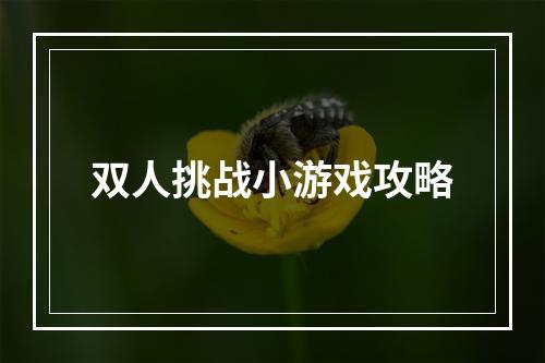 双人挑战小游戏攻略