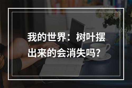 我的世界：树叶摆出来的会消失吗？