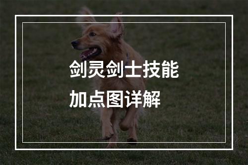 剑灵剑士技能加点图详解