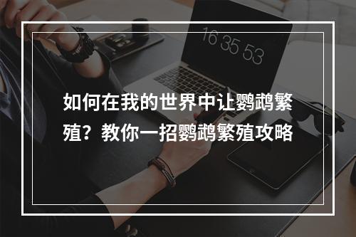 如何在我的世界中让鹦鹉繁殖？教你一招鹦鹉繁殖攻略