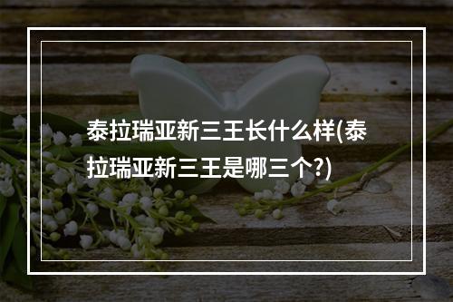 泰拉瑞亚新三王长什么样(泰拉瑞亚新三王是哪三个?)