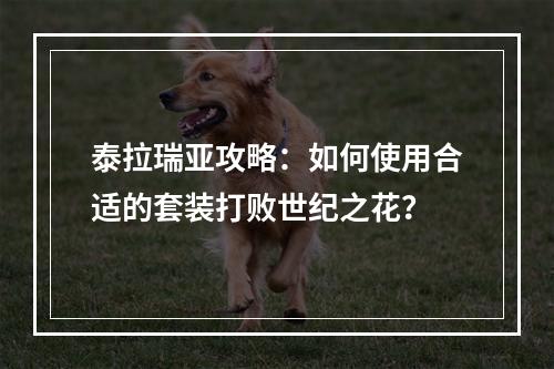 泰拉瑞亚攻略：如何使用合适的套装打败世纪之花？