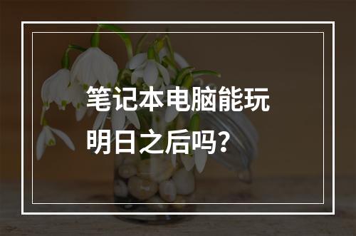 笔记本电脑能玩明日之后吗？