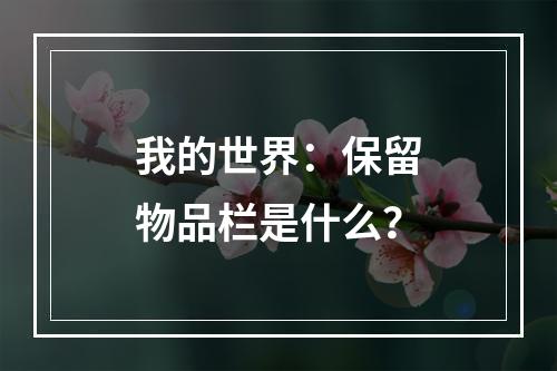 我的世界：保留物品栏是什么？