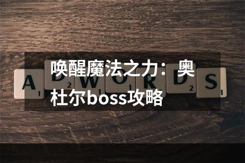 唤醒魔法之力：奥杜尔boss攻略