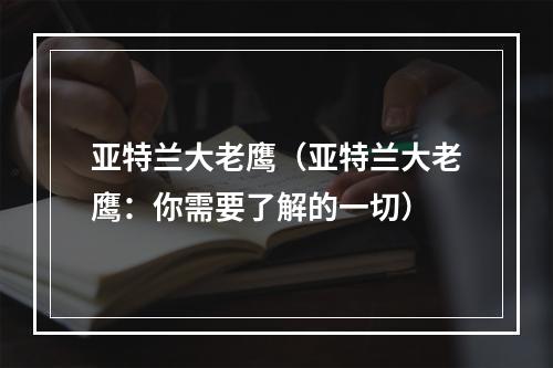 亚特兰大老鹰（亚特兰大老鹰：你需要了解的一切）