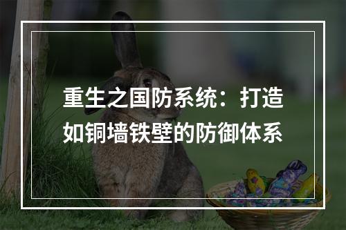 重生之国防系统：打造如铜墙铁壁的防御体系