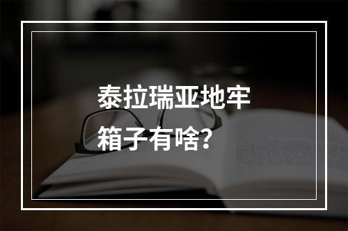 泰拉瑞亚地牢箱子有啥？