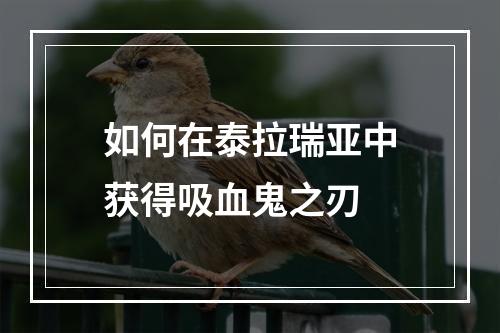 如何在泰拉瑞亚中获得吸血鬼之刃