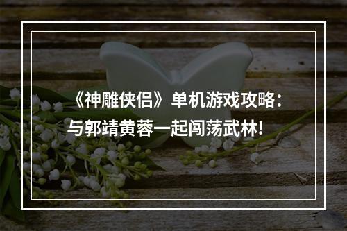 《神雕侠侣》单机游戏攻略：与郭靖黄蓉一起闯荡武林!