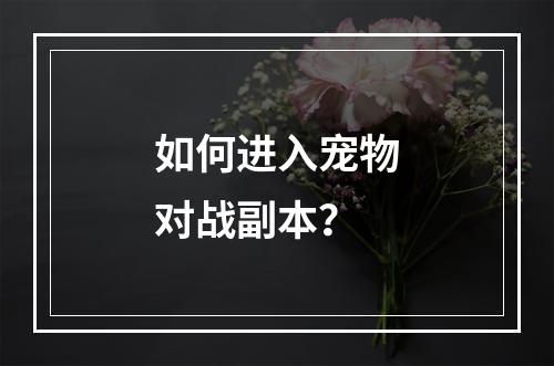 如何进入宠物对战副本？