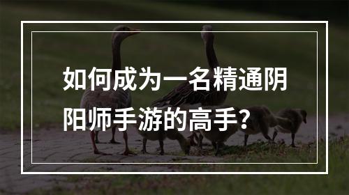 如何成为一名精通阴阳师手游的高手？