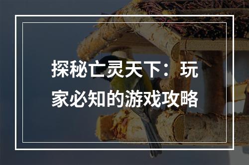 探秘亡灵天下：玩家必知的游戏攻略