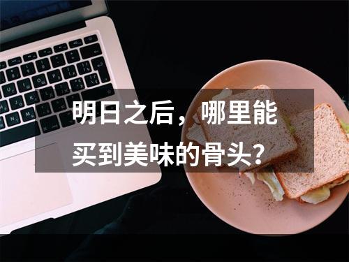 明日之后，哪里能买到美味的骨头？