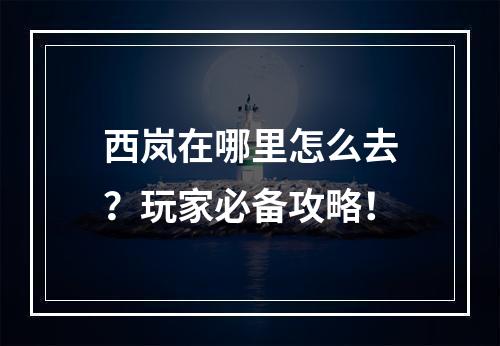 西岚在哪里怎么去？玩家必备攻略！