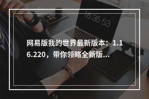 网易版我的世界最新版本：1.16.220，带你领略全新版本的乐趣