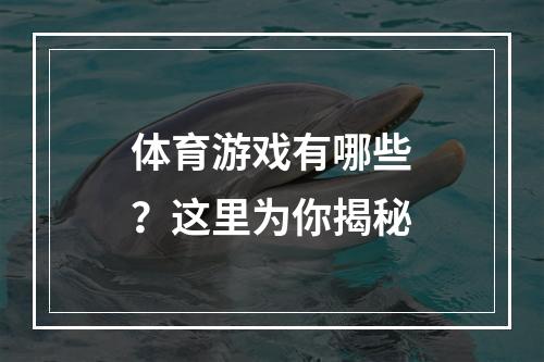 体育游戏有哪些？这里为你揭秘