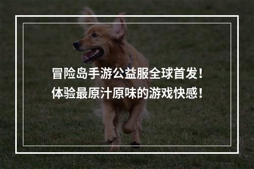 冒险岛手游公益服全球首发！体验最原汁原味的游戏快感！