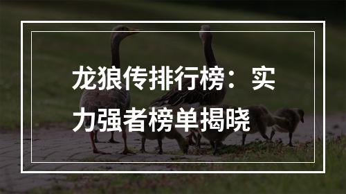 龙狼传排行榜：实力强者榜单揭晓