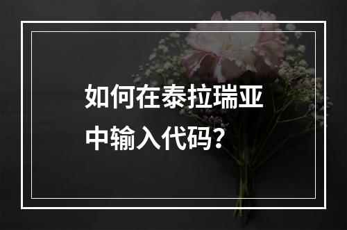 如何在泰拉瑞亚中输入代码？