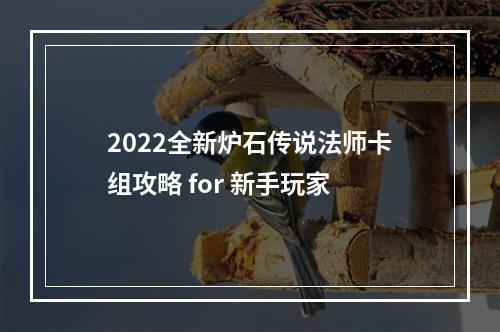 2022全新炉石传说法师卡组攻略 for 新手玩家