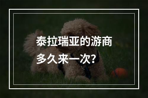 泰拉瑞亚的游商多久来一次？