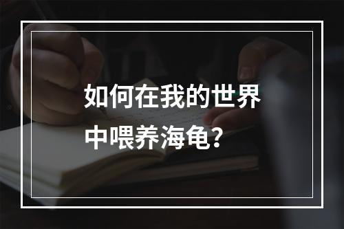 如何在我的世界中喂养海龟？