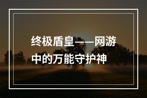 终极盾皇——网游中的万能守护神