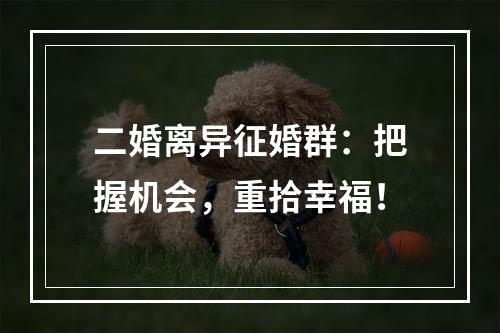 二婚离异征婚群：把握机会，重拾幸福！